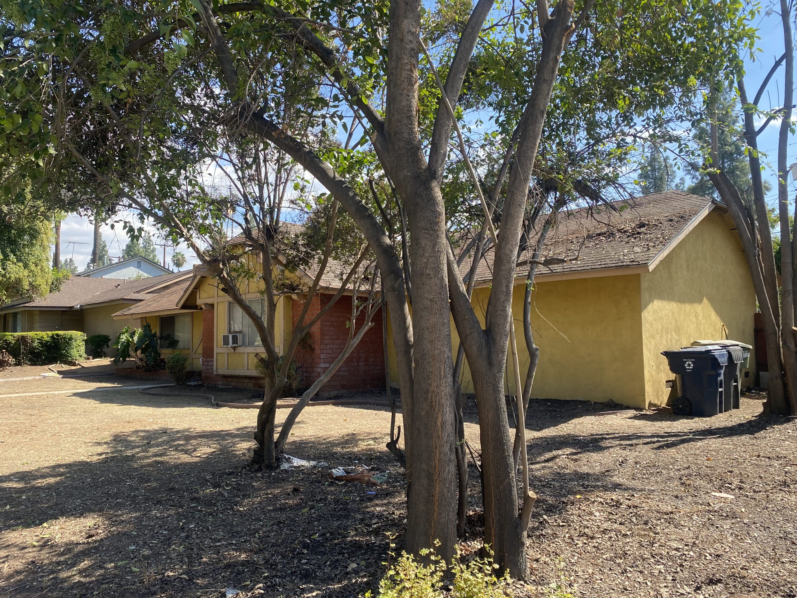 Paradise MGT LLC Real Estate Management & Investing